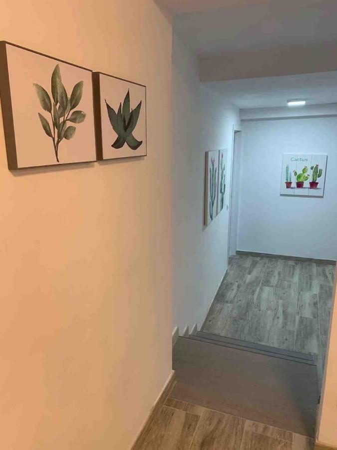 Casa Hana Apartment Mogan Luaran gambar